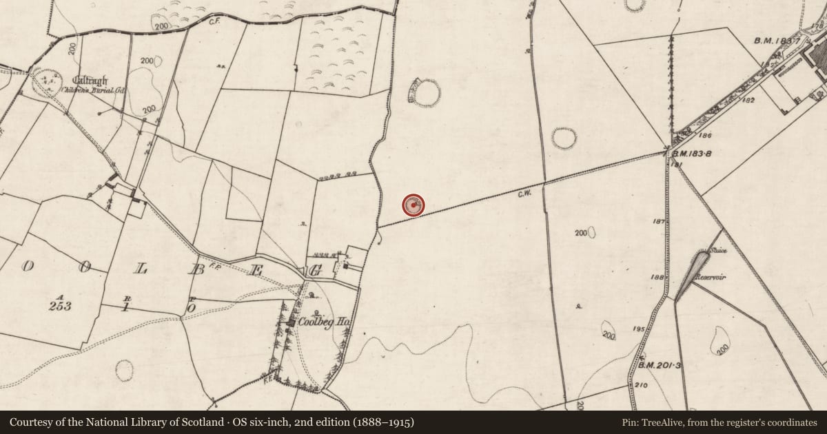Ordnance Survey six-inch map, 2nd edition (1888–1915) covering the location of Ringfort - rath, Gannaveen, County Galway, with a pin at the register's coordinates