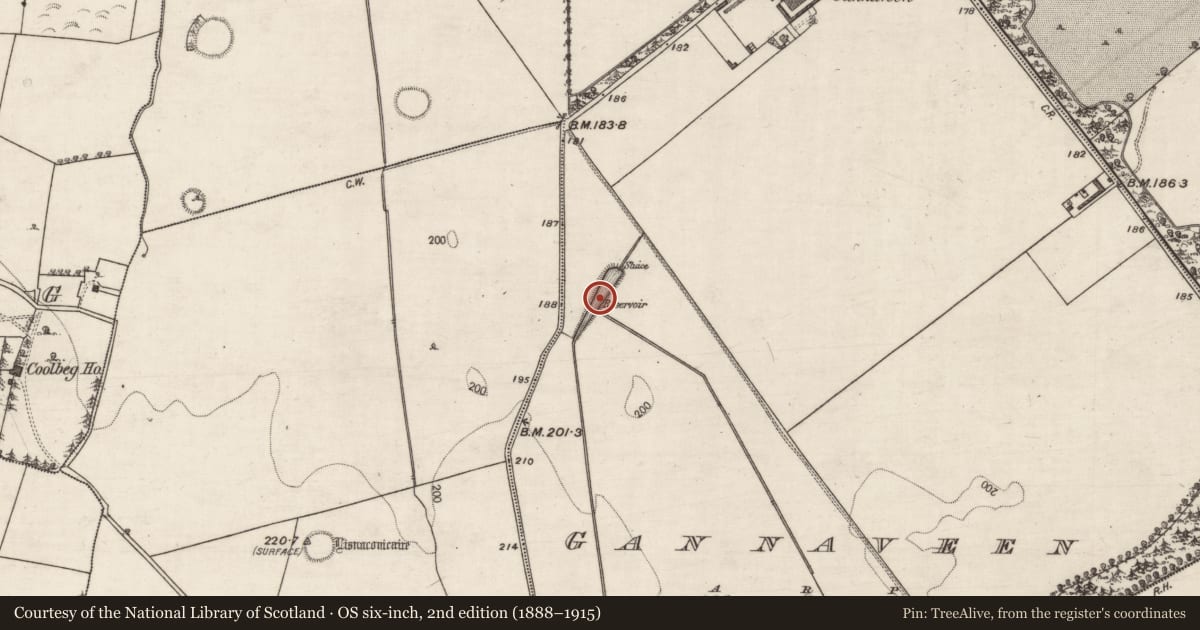 Ordnance Survey six-inch map, 2nd edition (1888–1915) covering the location of Fish-pond, Gannaveen, County Galway, with a pin at the register's coordinates