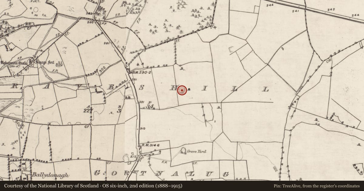 Ordnance Survey six-inch map, 2nd edition (1888–1915) covering the location of Ringfort - rath, Graveshill, County Galway, with a pin at the register's coordinates