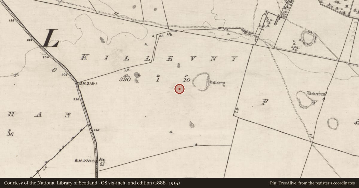 Ordnance Survey six-inch map, 2nd edition (1888–1915) covering the location of Road - road/trackway, Killevny, County Galway, with a pin at the register's coordinates