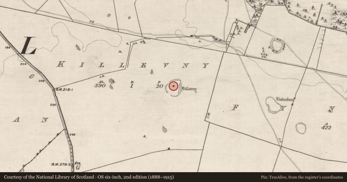 Ordnance Survey six-inch map, 2nd edition (1888–1915) covering the location of Earthwork, Killevny, County Galway, with a pin at the register's coordinates