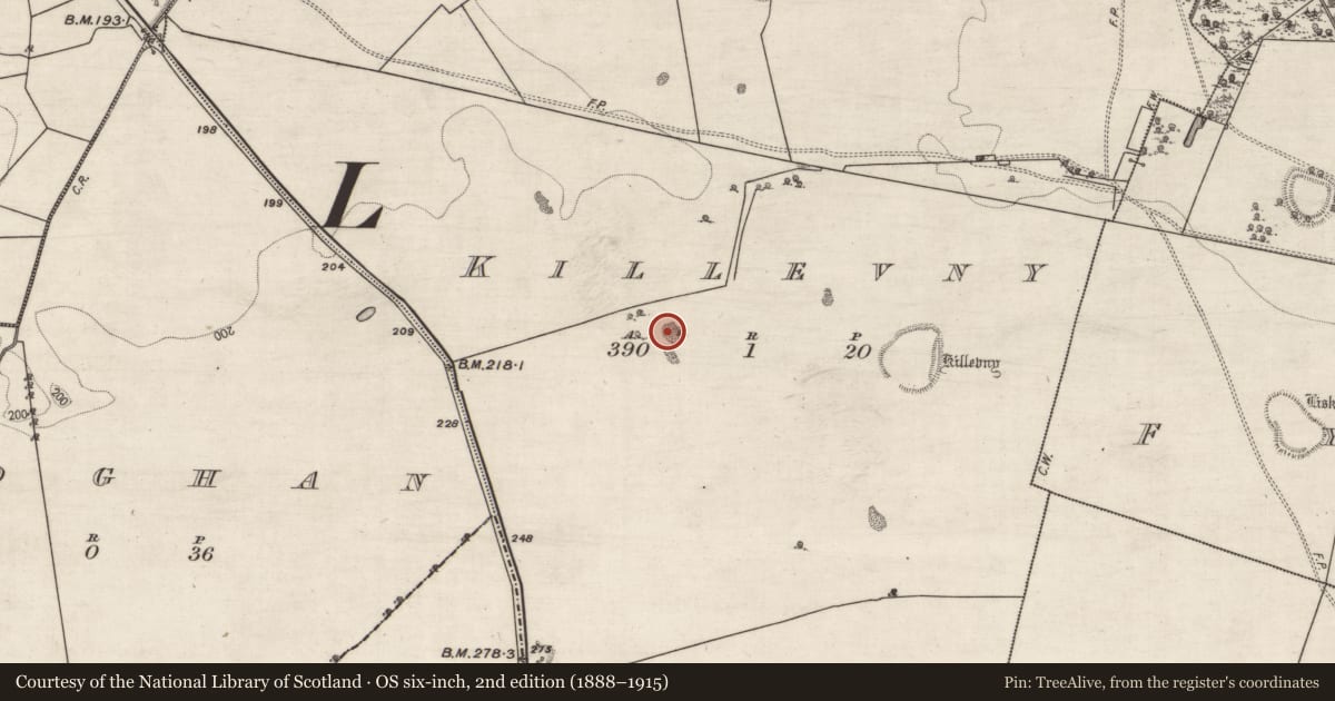 Ordnance Survey six-inch map, 2nd edition (1888–1915) covering the location of Quarry, Killevny, County Galway, with a pin at the register's coordinates