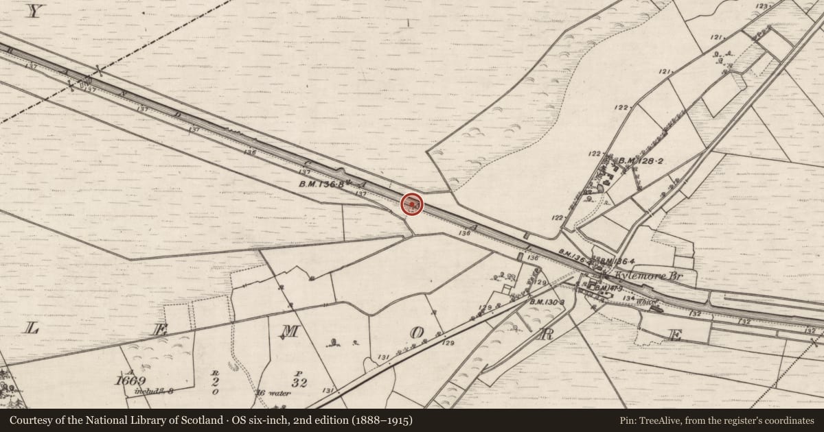 Ordnance Survey six-inch map, 2nd edition (1888–1915) covering the location of Canal, County Galway, with a pin at the register's coordinates