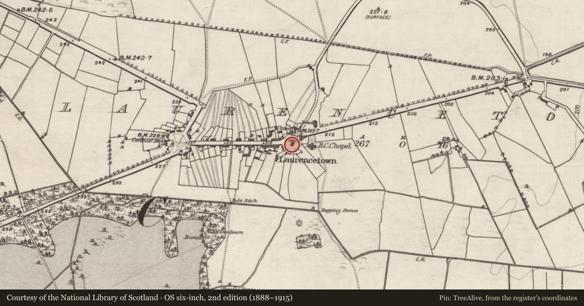 Ordnance Survey six-inch map, 2nd edition (1888–1915) covering the location of Market-house, Laurencetown, County Galway, with a pin at the register's coordinates