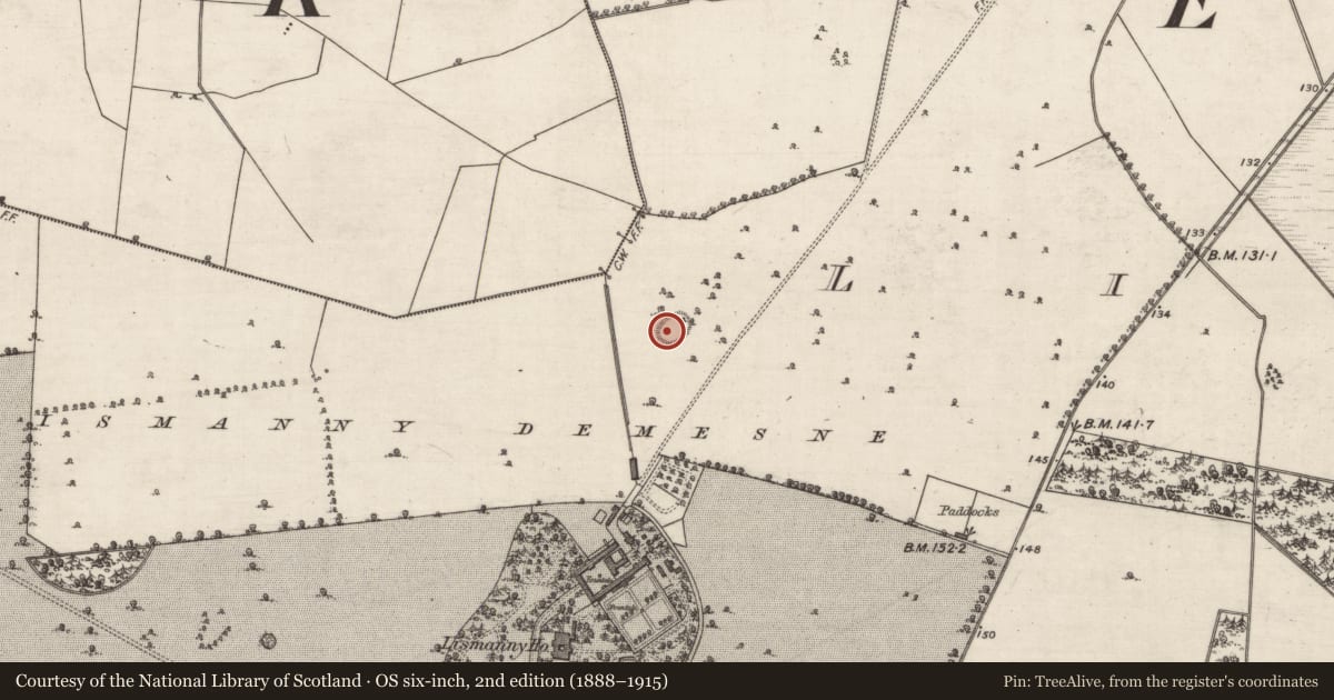 Ordnance Survey six-inch map, 2nd edition (1888–1915) covering the location of Ringfort - rath, Lismanny, County Galway, with a pin at the register's coordinates