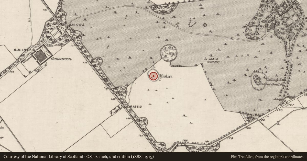 Ordnance Survey six-inch map, 2nd edition (1888–1915) covering the location of Ringfort - rath, Lismanny, County Galway, with a pin at the register's coordinates