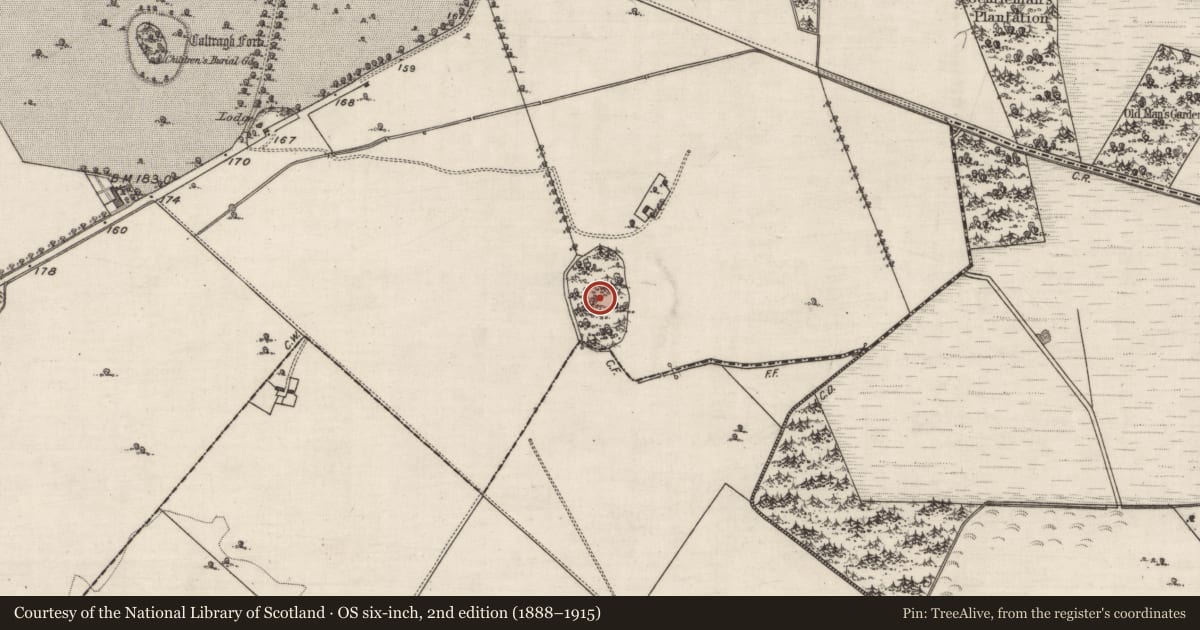 Ordnance Survey six-inch map, 2nd edition (1888–1915) covering the location of Designed landscape - tree-ring, Lismanny, County Galway, with a pin at the register's coordinates
