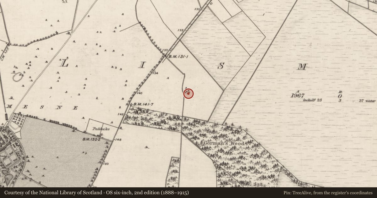 Ordnance Survey six-inch map, 2nd edition (1888–1915) covering the location of Children's burial ground, Lismanny, County Galway, with a pin at the register's coordinates