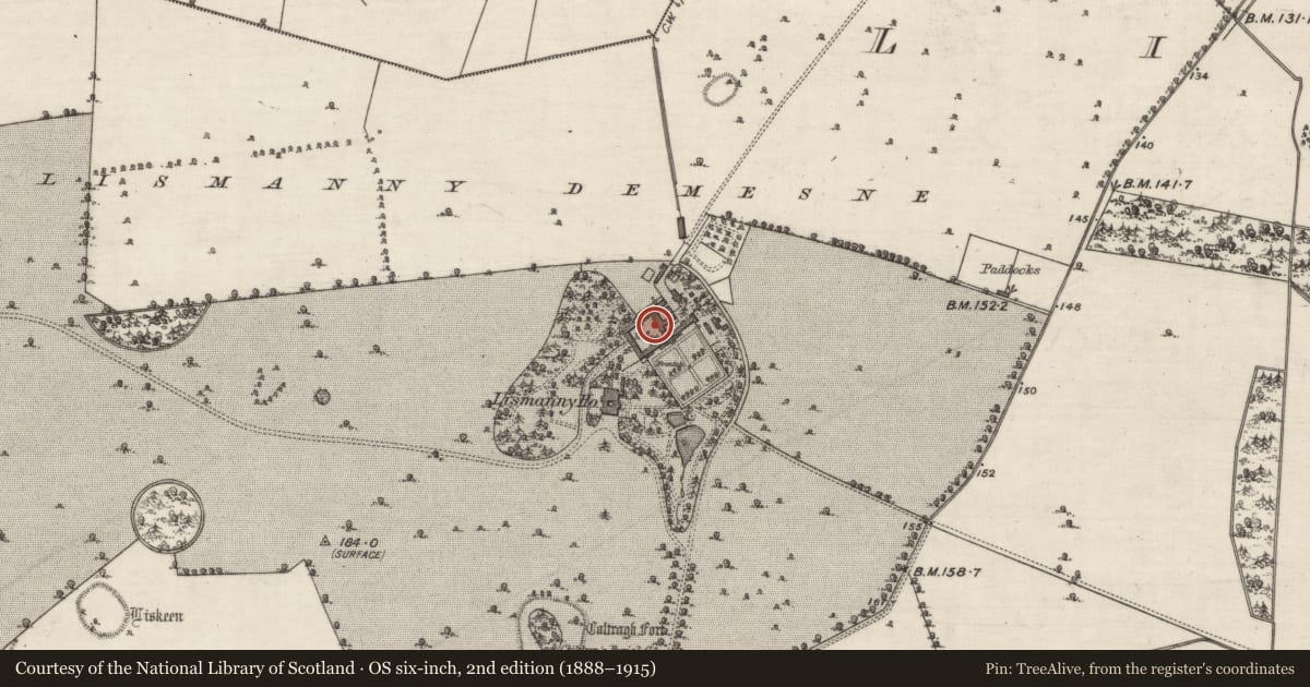 Ordnance Survey six-inch map, 2nd edition (1888–1915) covering the location of Country house, Lismanny, County Galway, with a pin at the register's coordinates
