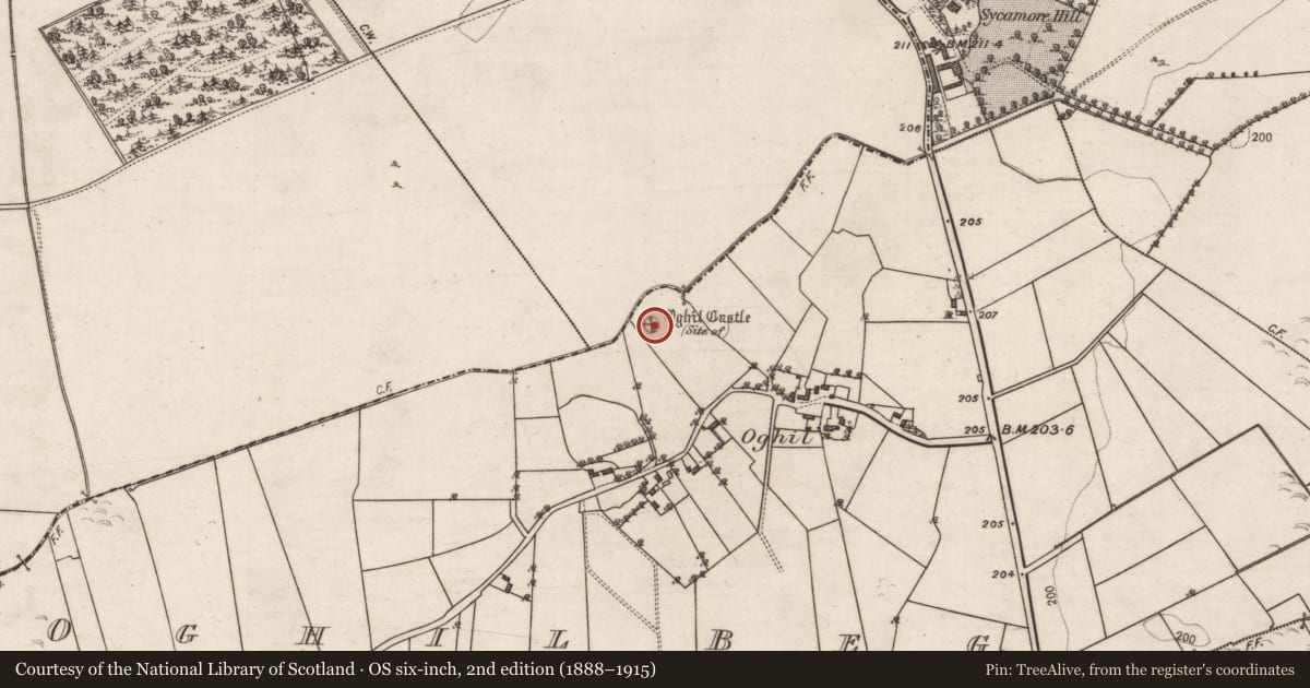 Ordnance Survey six-inch map, 2nd edition (1888–1915) covering the location of Castle - tower house, Oghil Beg, County Galway, with a pin at the register's coordinates