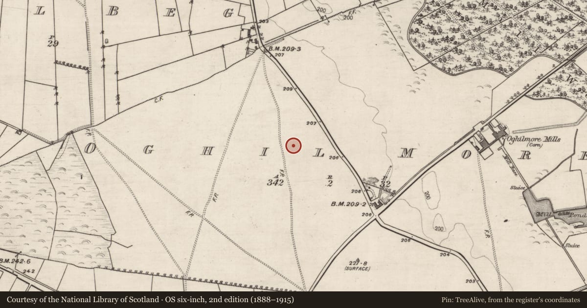 Ordnance Survey six-inch map, 2nd edition (1888–1915) covering the location of Quarry, Oghil More, County Galway, with a pin at the register's coordinates
