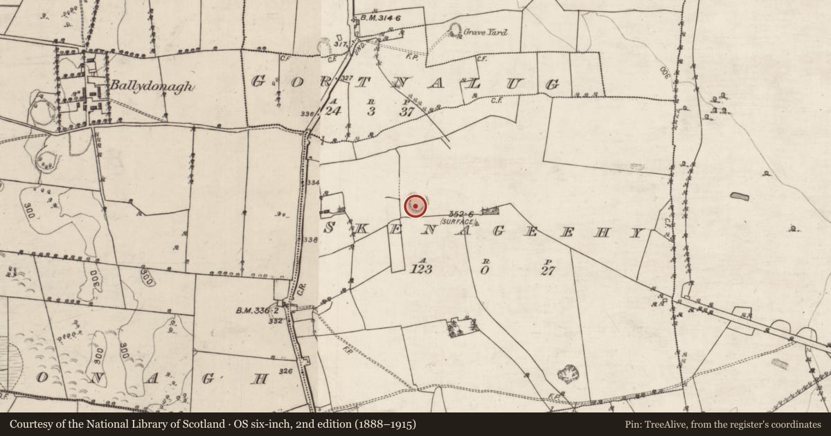 Ordnance Survey six-inch map, 2nd edition (1888–1915) covering the location of Ringfort - rath, Skenageehy, County Galway, with a pin at the register's coordinates