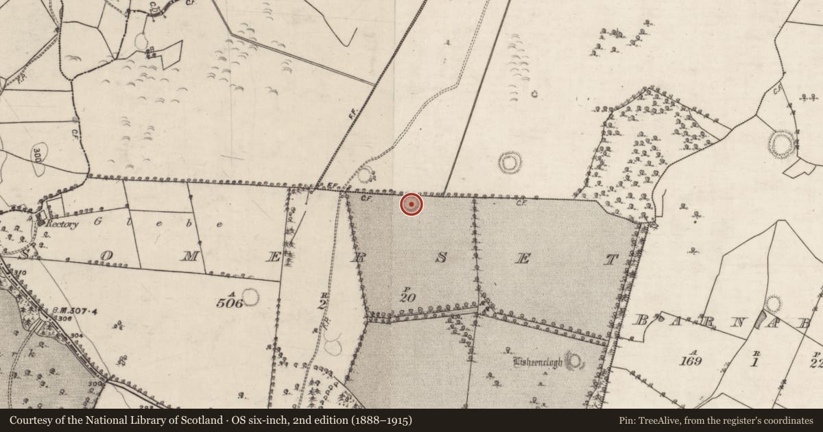 Ordnance Survey six-inch map, 2nd edition (1888–1915) covering the location of Ringfort - rath, Coolbeg, Somerset, County Galway, with a pin at the register's coordinates