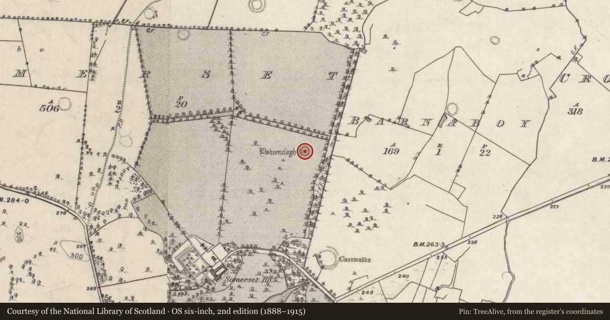 Ordnance Survey six-inch map, 2nd edition (1888–1915) covering the location of Children's burial ground, Somerset, County Galway, with a pin at the register's coordinates
