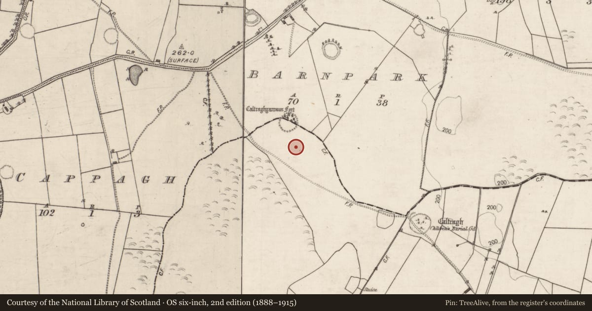 Ordnance Survey six-inch map, 2nd edition (1888–1915) covering the location of Fulacht fia, Somerset, County Galway, with a pin at the register's coordinates