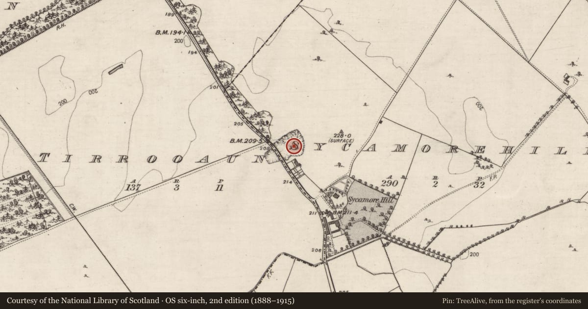 Ordnance Survey six-inch map, 2nd edition (1888–1915) covering the location of Designed landscape feature, Sycamorehill, County Galway, with a pin at the register's coordinates