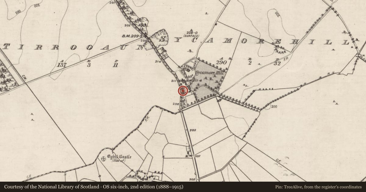 Ordnance Survey six-inch map, 2nd edition (1888–1915) covering the location of Country house, Sycamorehill, County Galway, with a pin at the register's coordinates