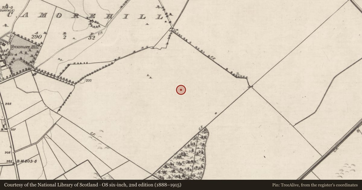 Ordnance Survey six-inch map, 2nd edition (1888–1915) covering the location of Enclosure - large enclosure, Sycamorehill, County Galway, with a pin at the register's coordinates
