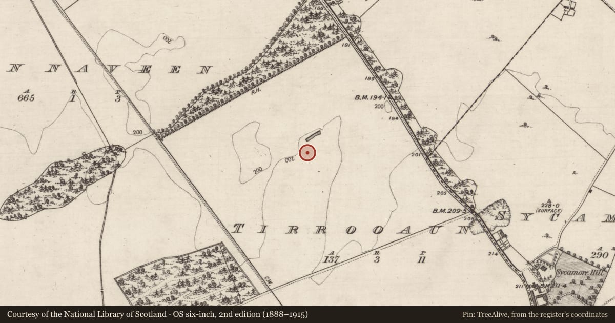 Ordnance Survey six-inch map, 2nd edition (1888–1915) covering the location of Settlement cluster, Tirrooaun, County Galway, with a pin at the register's coordinates