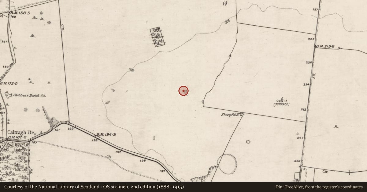 Ordnance Survey six-inch map, 2nd edition (1888–1915) covering the location of Quarry, Coolcarta West, County Galway, with a pin at the register's coordinates
