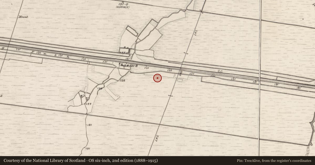 Ordnance Survey six-inch map, 2nd edition (1888–1915) covering the location of Road - class 1 togher, Annaghcorrib, Coolcarta East, County Galway, with a pin at the register's coordinates