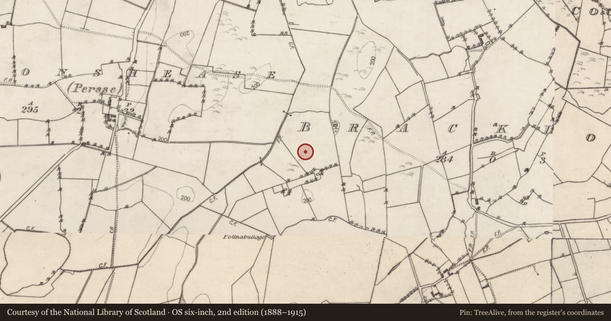 Ordnance Survey six-inch map, 2nd edition (1888–1915) covering the location of Mass-rock, Brackloon, County Galway, with a pin at the register's coordinates