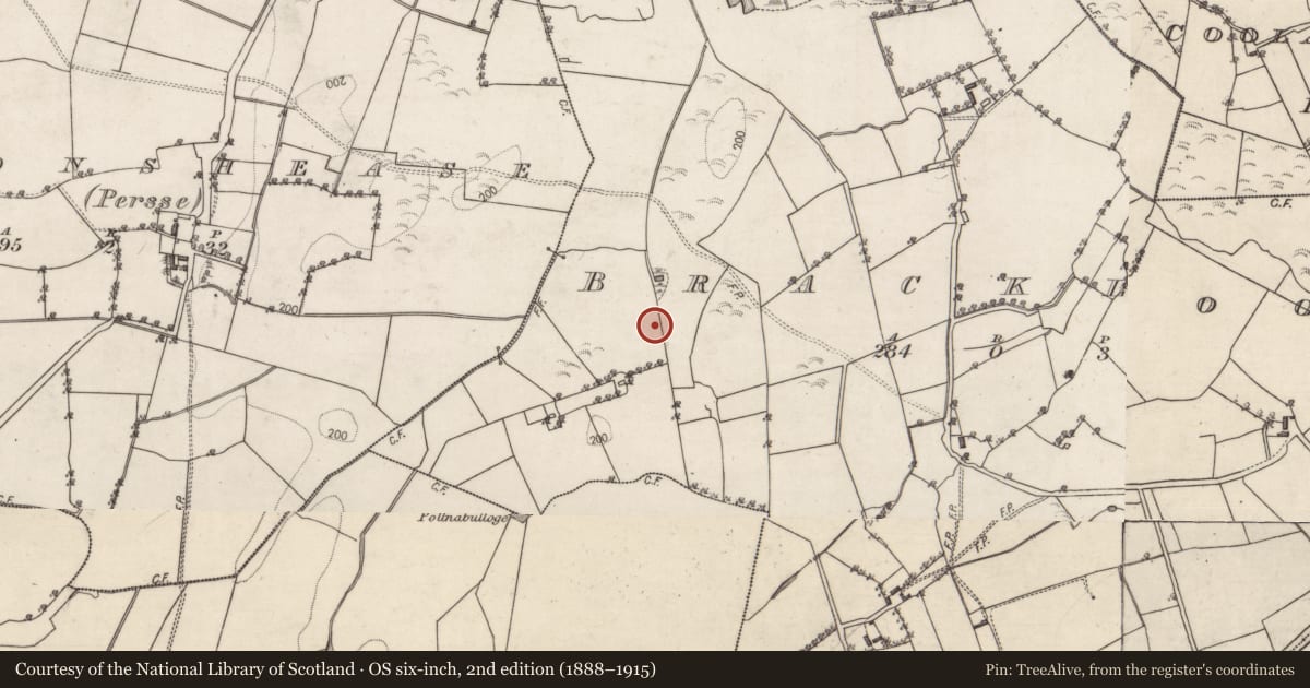 Ordnance Survey six-inch map, 2nd edition (1888–1915) covering the location of Mass-rock (present location), Brackloon, County Galway, with a pin at the register's coordinates