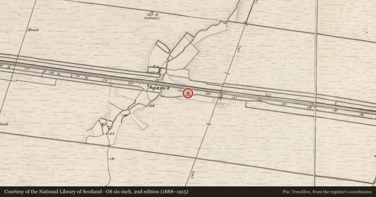Ordnance Survey six-inch map, 2nd edition (1888–1915) covering the location of Road - class 1 togher, Garryduff, County Galway, with a pin at the register's coordinates