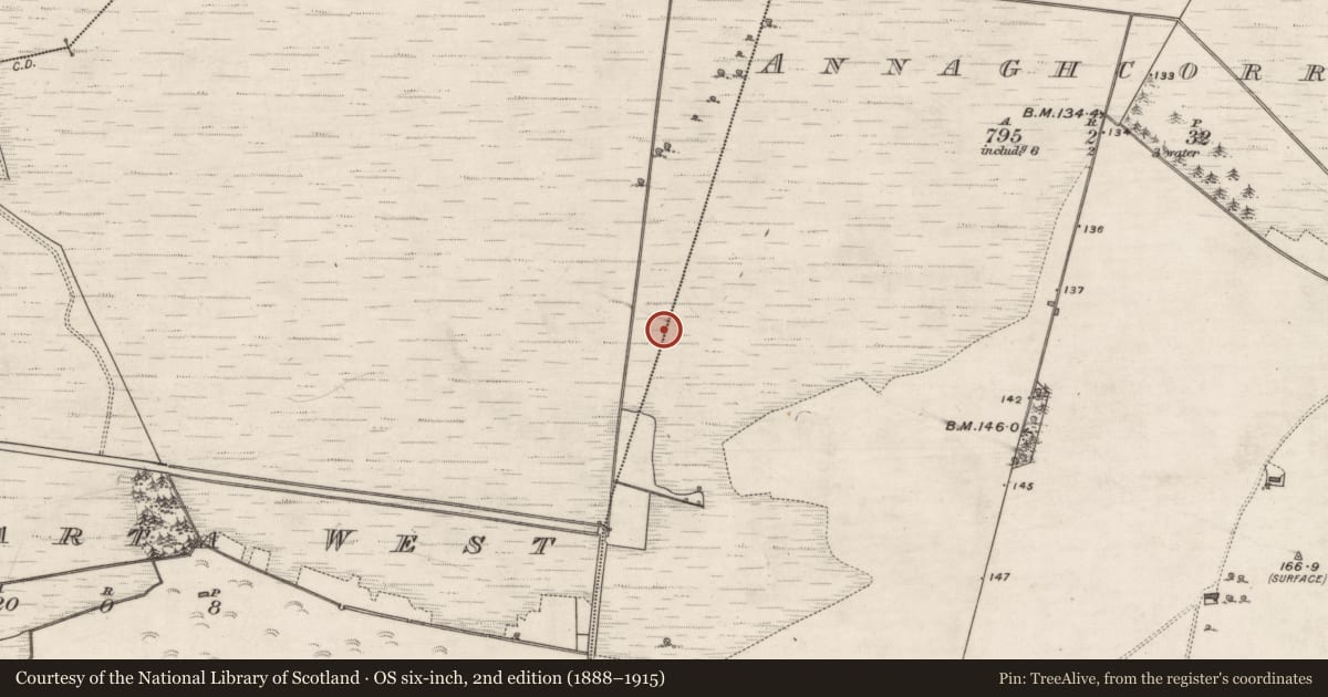 Ordnance Survey six-inch map, 2nd edition (1888–1915) covering the location of Road - gravel/stone trackway - peatland, Annaghcorrib, Coolcarta West, County Galway, with a pin at the register's coordinates