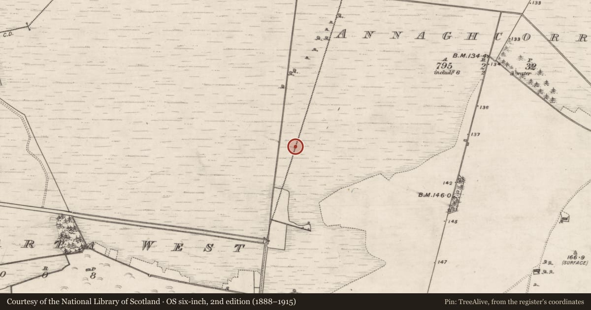 Ordnance Survey six-inch map, 2nd edition (1888–1915) covering the location of Road - gravel/stone trackway - peatland, Annaghcorrib, Coolcarta West, County Galway, with a pin at the register's coordinates