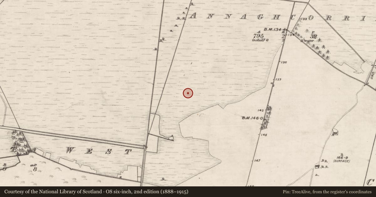 Ordnance Survey six-inch map, 2nd edition (1888–1915) covering the location of Road - class 3 togher, Annaghcorrib, County Galway, with a pin at the register's coordinates