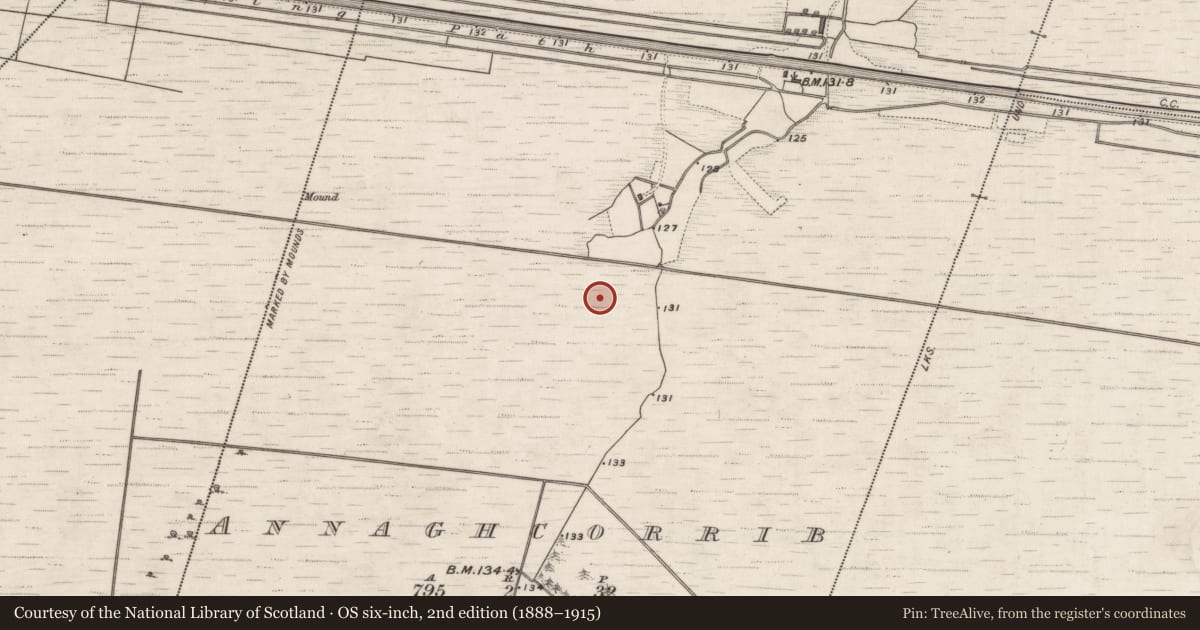 Ordnance Survey six-inch map, 2nd edition (1888–1915) covering the location of Structure - peatland, Annaghcorrib, County Galway, with a pin at the register's coordinates
