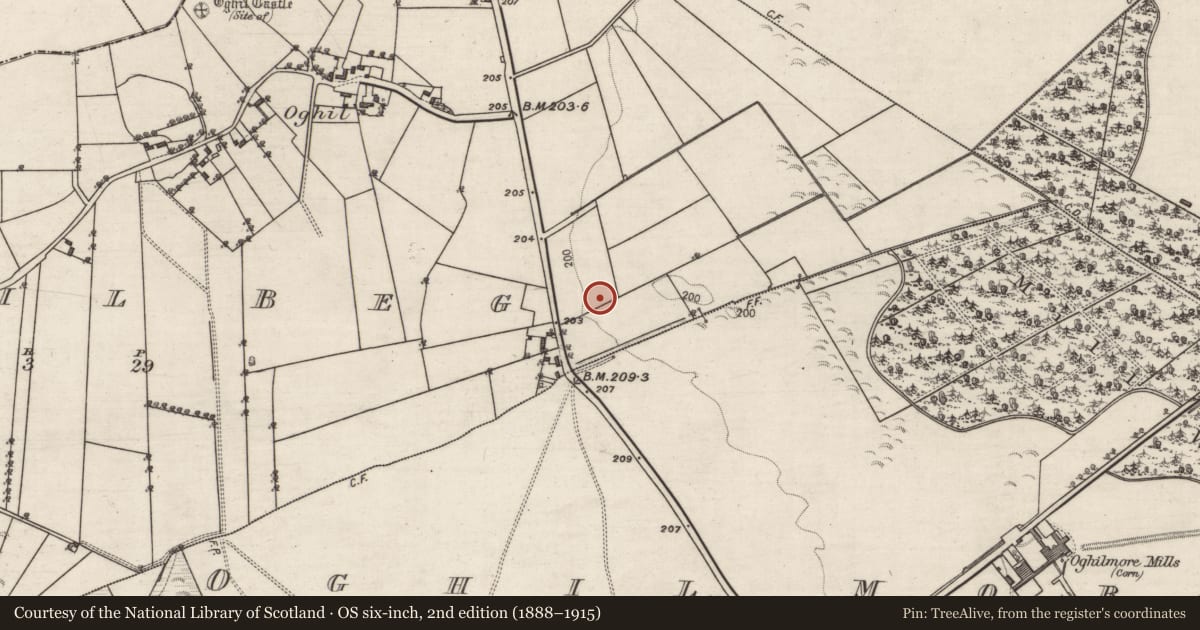 Ordnance Survey six-inch map, 2nd edition (1888–1915) covering the location of Fulacht fia, Oghil Beg, County Galway, with a pin at the register's coordinates