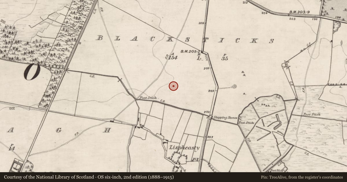 Ordnance Survey six-inch map, 2nd edition (1888–1915) covering the location of Barrow - ring-barrow, Blacksticks, County Galway, with a pin at the register's coordinates