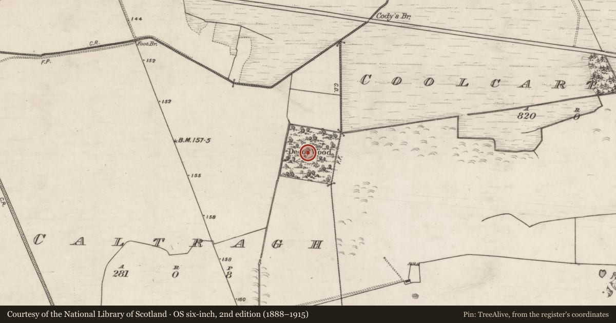 Ordnance Survey six-inch map, 2nd edition (1888–1915) covering the location of Decoy pond, Caltragh, County Galway, with a pin at the register's coordinates