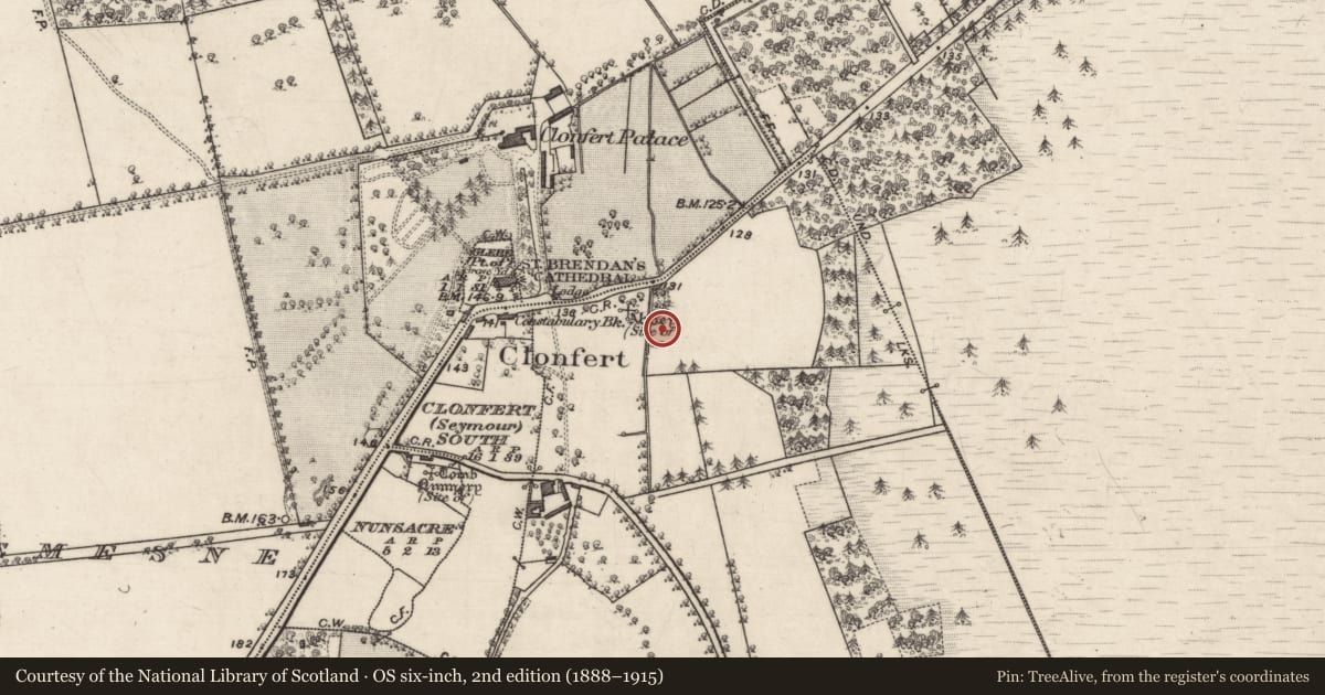 Ordnance Survey six-inch map, 2nd edition (1888–1915) covering the location of Quarry, Abbeyland Little, County Galway, with a pin at the register's coordinates