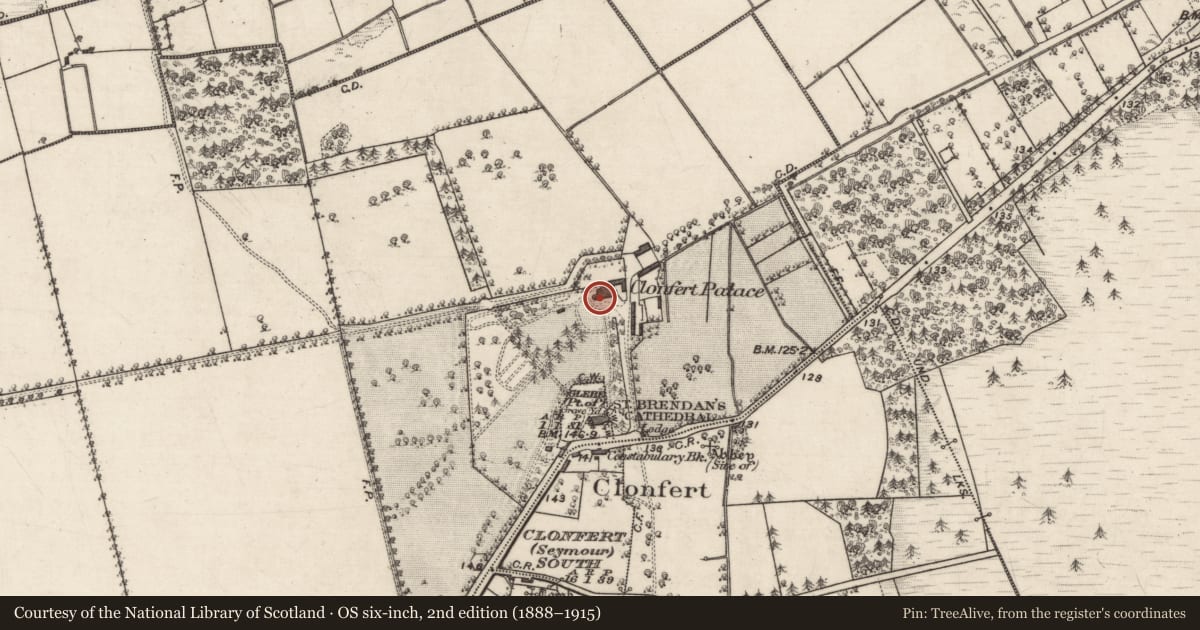 Ordnance Survey six-inch map, 2nd edition (1888–1915) covering the location of House - 17th century, Clonfert Demesne, County Galway, with a pin at the register's coordinates
