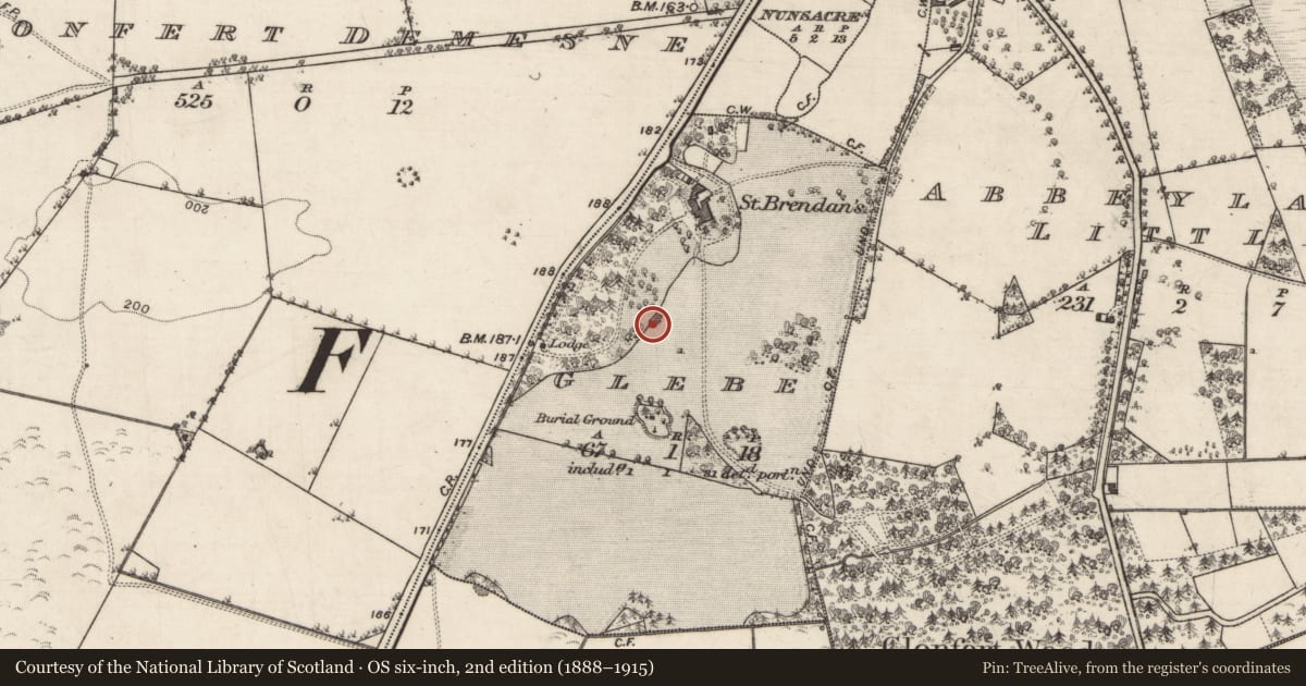 Ordnance Survey six-inch map, 2nd edition (1888–1915) covering the location of Designed landscape - tree-ring, Glebe, County Galway, with a pin at the register's coordinates
