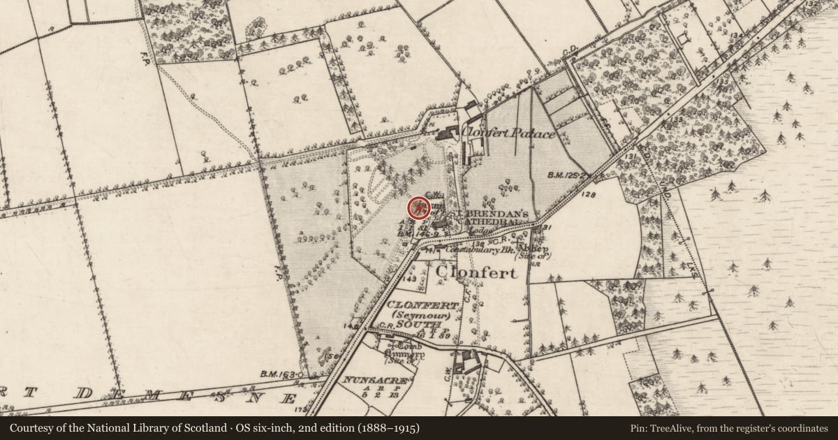 Ordnance Survey six-inch map, 2nd edition (1888–1915) covering the location of Tomb - unclassified, Glebe (Part of), County Galway, with a pin at the register's coordinates