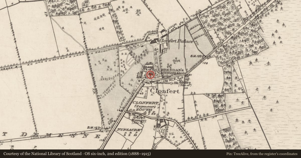 Ordnance Survey six-inch map, 2nd edition (1888–1915) covering the location of Cross-slab, Glebe (Part of), County Galway, with a pin at the register's coordinates