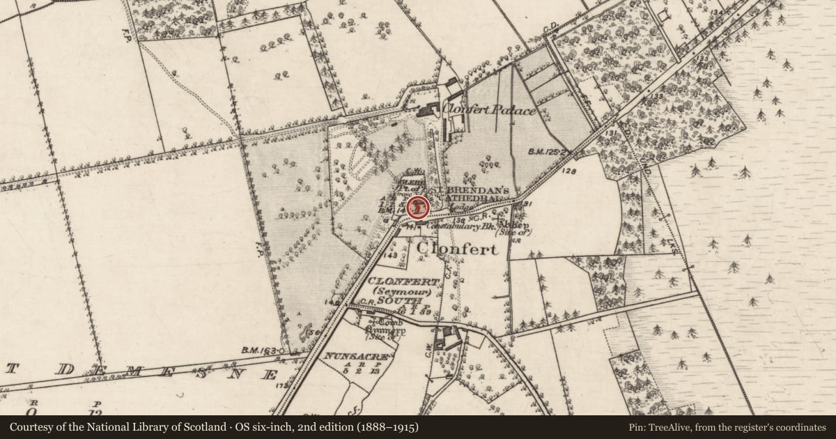 Ordnance Survey six-inch map, 2nd edition (1888–1915) covering the location of Graveslab, Glebe (Part of), County Galway, with a pin at the register's coordinates