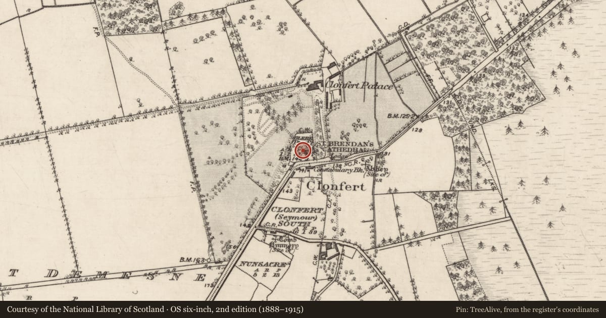 Ordnance Survey six-inch map, 2nd edition (1888–1915) covering the location of Cross-slab, Glebe (Part of), County Galway, with a pin at the register's coordinates