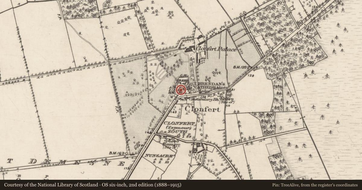 Ordnance Survey six-inch map, 2nd edition (1888–1915) covering the location of Graveslab (present location), Glebe (Part of), County Galway, with a pin at the register's coordinates