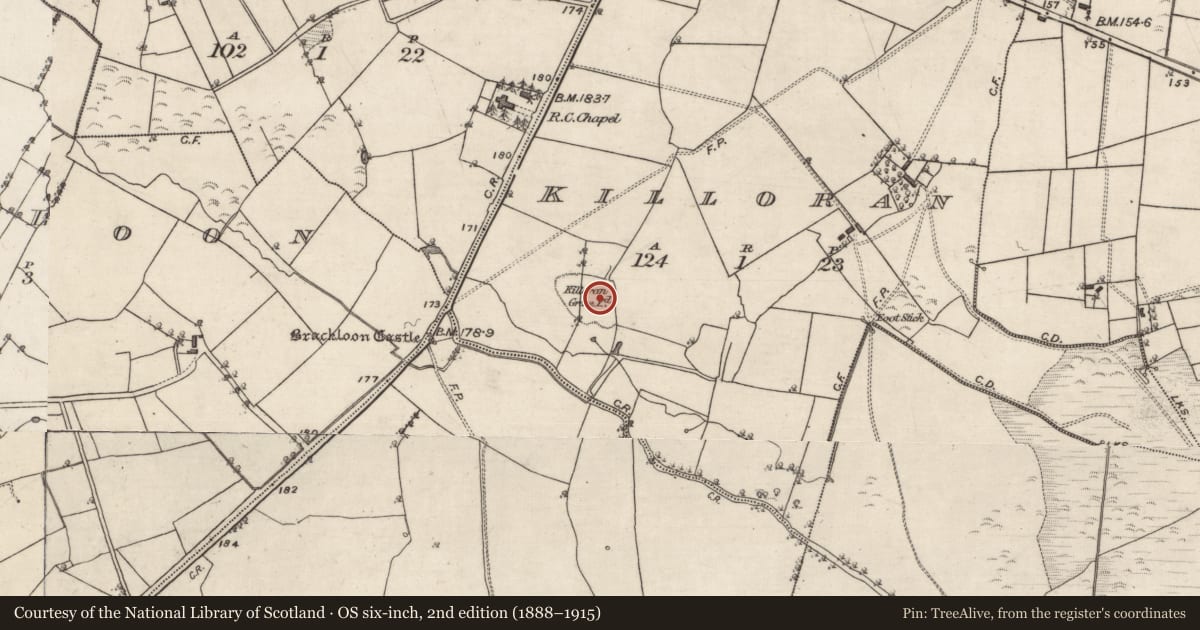 Ordnance Survey six-inch map, 2nd edition (1888–1915) covering the location of Ecclesiastical enclosure, Killoran, County Galway, with a pin at the register's coordinates