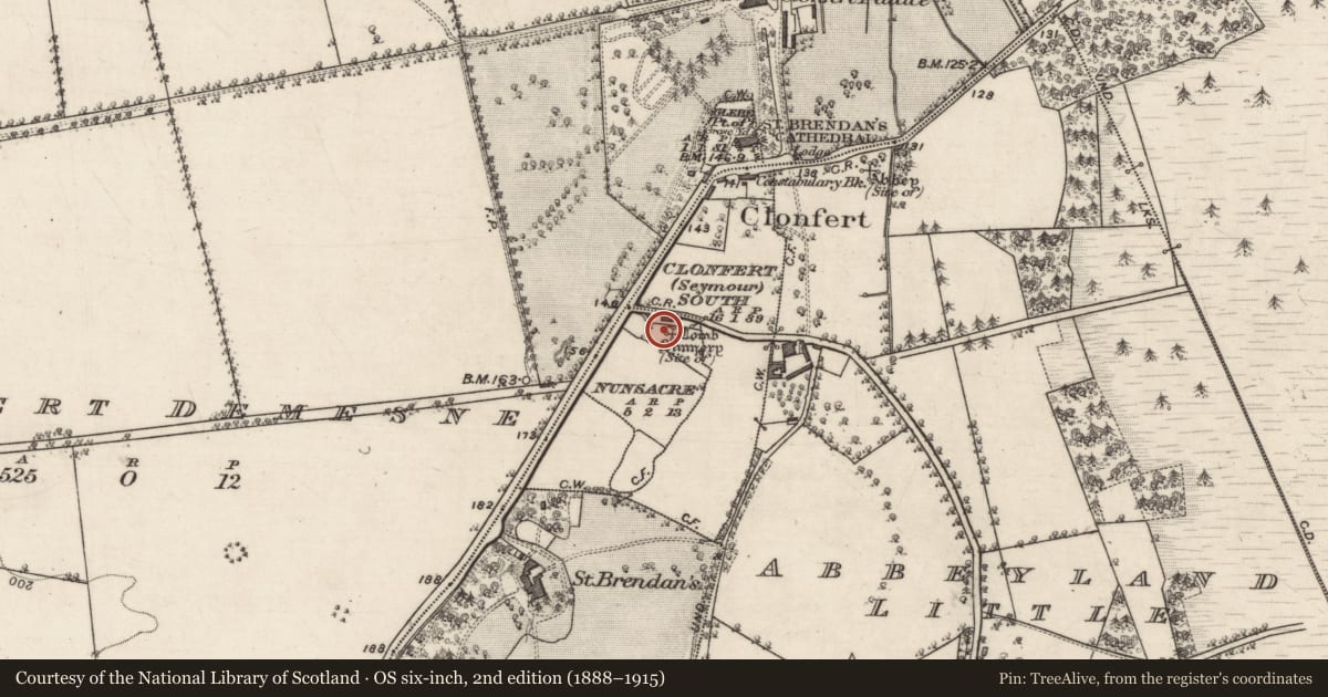 Ordnance Survey six-inch map, 2nd edition (1888–1915) covering the location of Graveslab, Nunsacre, County Galway, with a pin at the register's coordinates