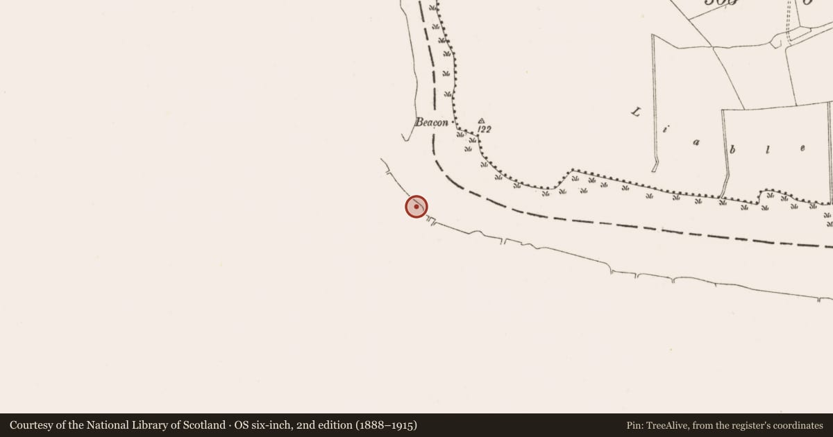 Ordnance Survey six-inch map, 2nd edition (1888–1915) covering the location of Road - gravel/stone trackway - peatland, Clonfert North (Seymour), County Galway, with a pin at the register's coordinates