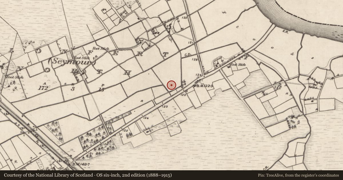Ordnance Survey six-inch map, 2nd edition (1888–1915) covering the location of Mill - unclassified, Clonfert North (Seymour), County Galway, with a pin at the register's coordinates
