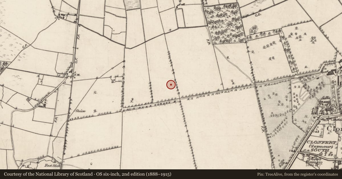 Ordnance Survey six-inch map, 2nd edition (1888–1915) covering the location of Fulacht fia, Clonfert Demesne, County Galway, with a pin at the register's coordinates