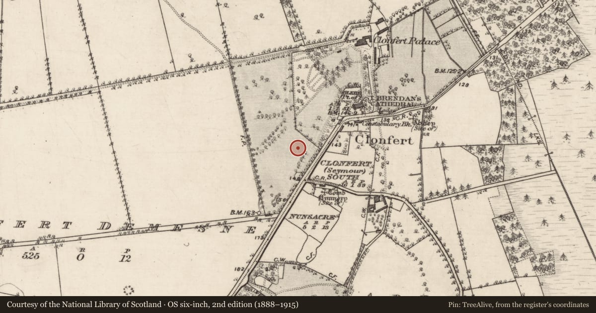 Ordnance Survey six-inch map, 2nd edition (1888–1915) covering the location of Enclosure, Clonfert Demesne, County Galway, with a pin at the register's coordinates