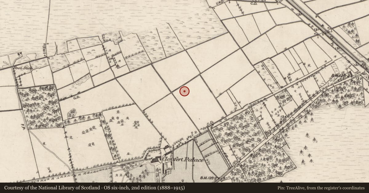 Ordnance Survey six-inch map, 2nd edition (1888–1915) covering the location of Canal, Clonfert (BUTSON), Clonfert Demesne, County Galway, with a pin at the register's coordinates